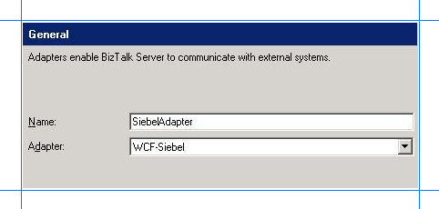 Add WCF-Siebel adapter to BizTalk console