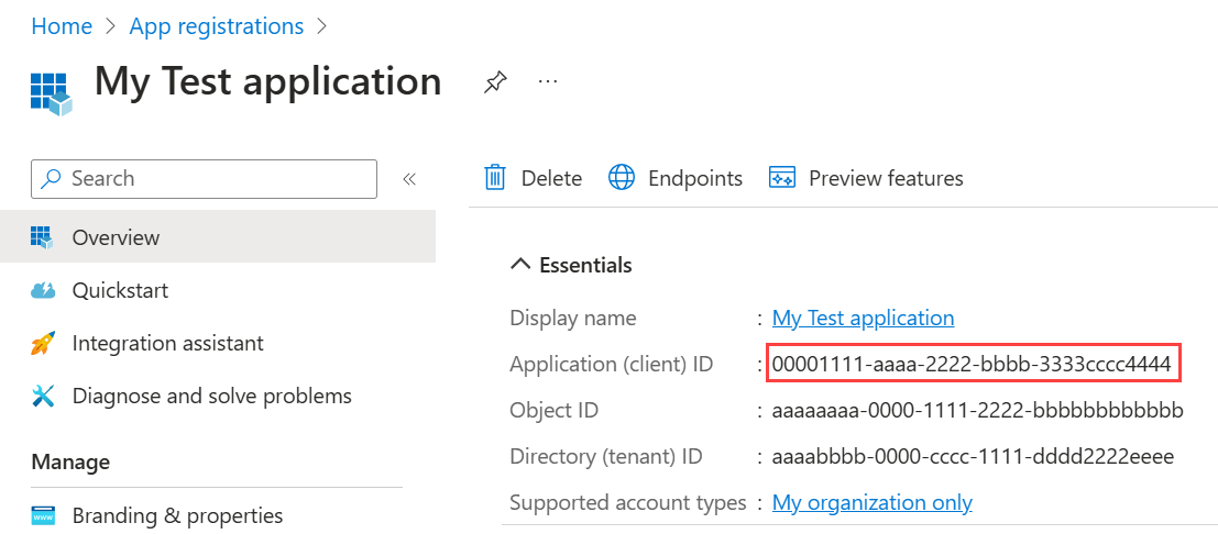 Screenshot that shows how to copy the application ID.