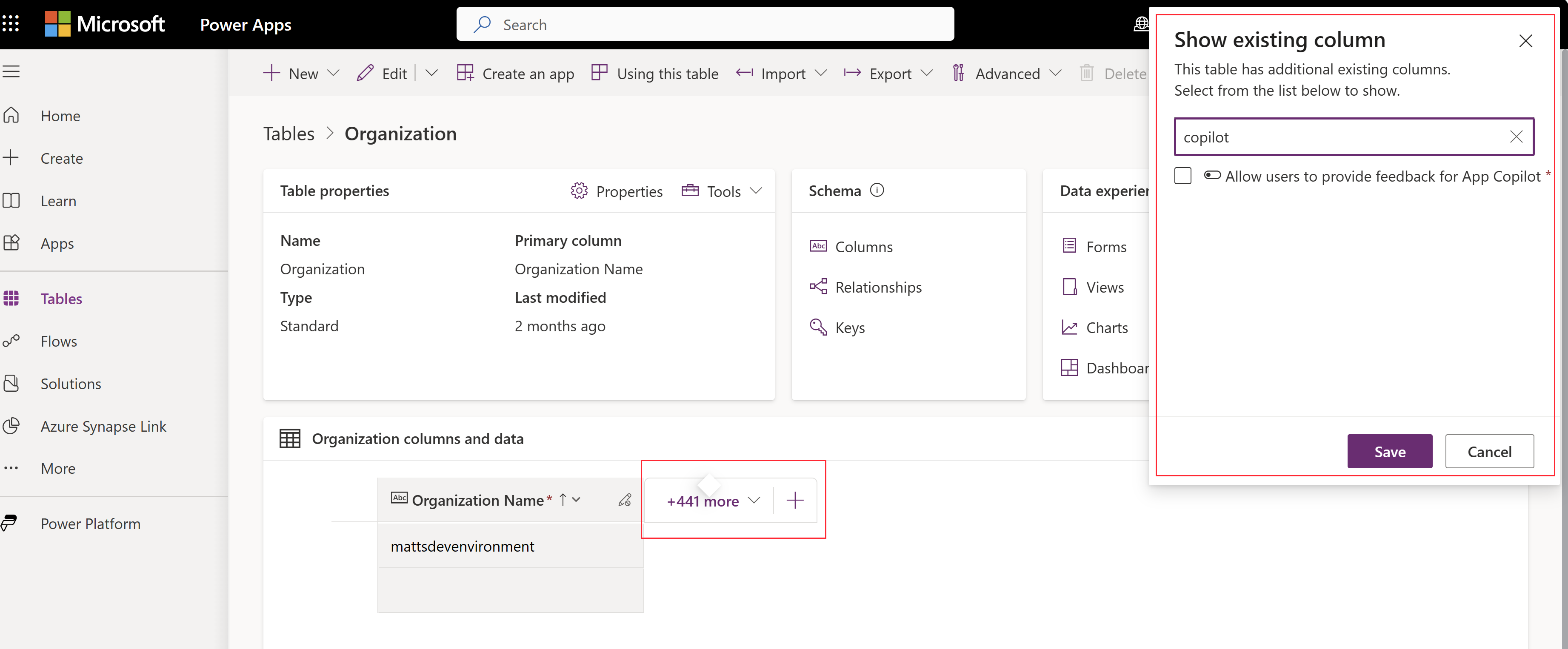 Screenshot that shows where to find the Allow users to provide feedback for App Copilot column.