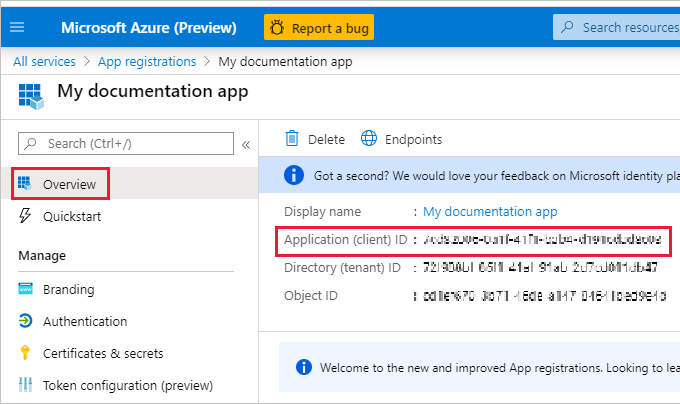 Screenshot of the Overview page of the new app. The Application ID is indecipherable and is highlighted.