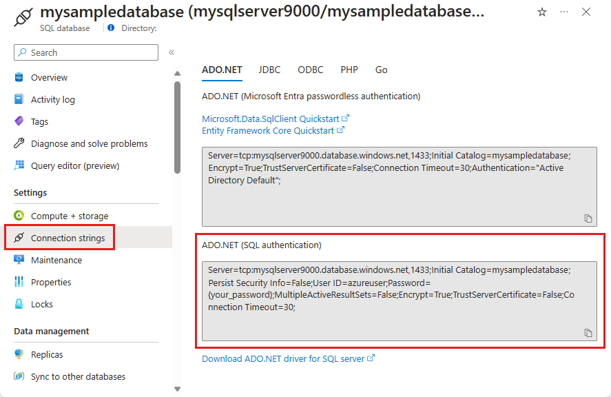 Снимок экрана: ADO.NET строка подключения.