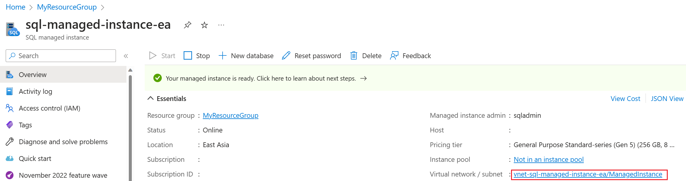 Снимок экрана: страница обзора управляемого экземпляра SQL портал Azure с выбранной подсетью.
