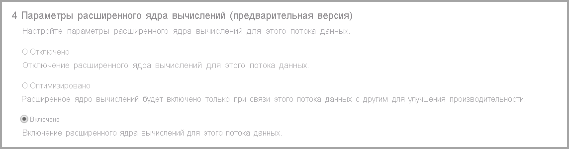 Снимок экрана: расширенные параметры подсистемы вычислений с выбранным параметром.